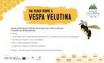 flyer vespa editavel vimioso