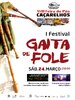 FESTIVAL GAITA DE FOLE